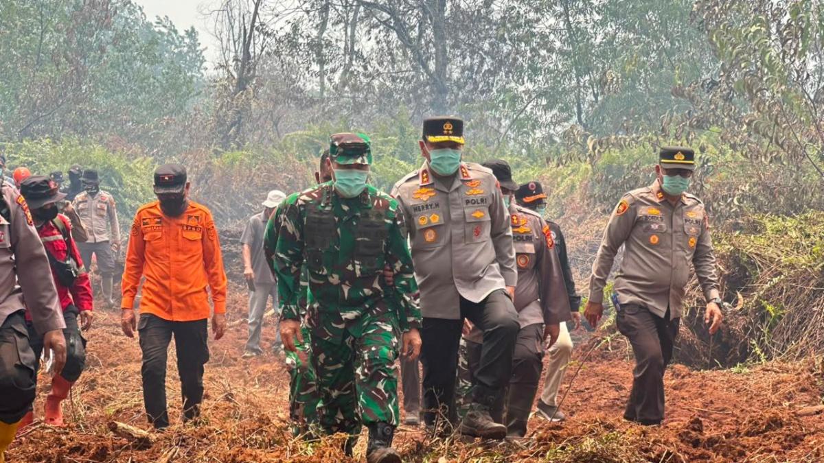 Pangdam XIX/Tuanku Tambusai Bersama Forkopimda Riau Tinjau Langsung Karhutla di Kerumutan